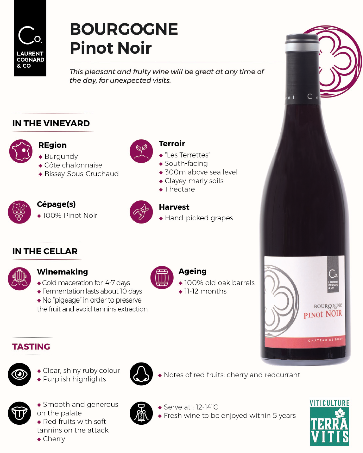 Bourgogne Pinot noir 勃艮第黑皮諾紅酒